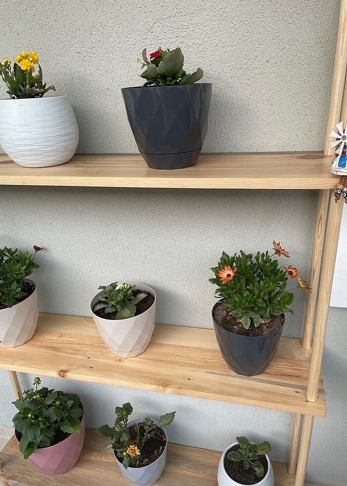 Masif Ahşap Raf Saksılık Düzenleyici - Görsel 4