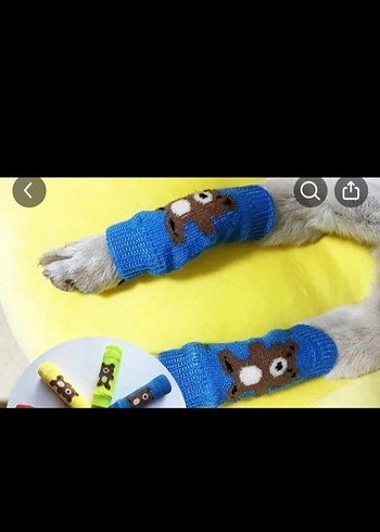 Renkli Kedi Aksesuarları Seti - Görsel 7