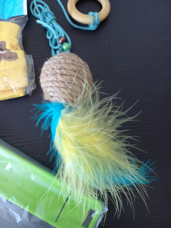 Renkli Kedi Aksesuarları Seti - Görsel 2