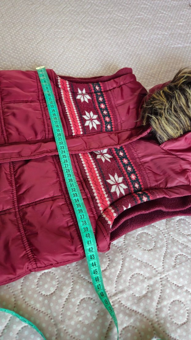 kapşonlu bordo yelek - Görsel 4