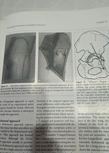 ortopedi kitap  2010 AAOS Instructional Course Lectures Kitabı - Görsel 5