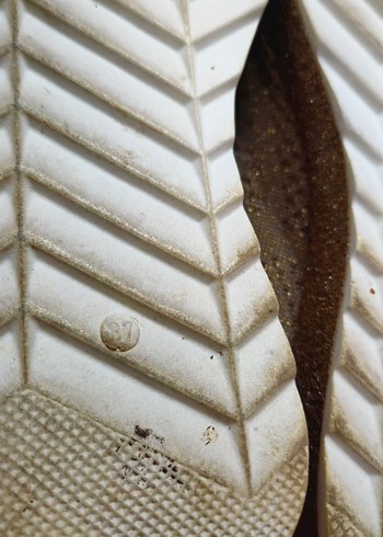 simli kadın ayakkabı - Görsel 4