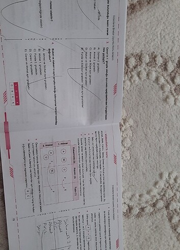 Beden Kpss kitapları