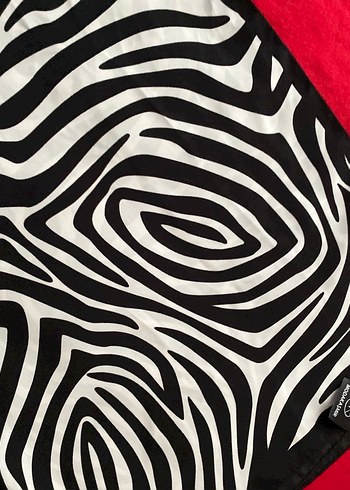 Diğer Zebra Desenli Çok Renkli şal