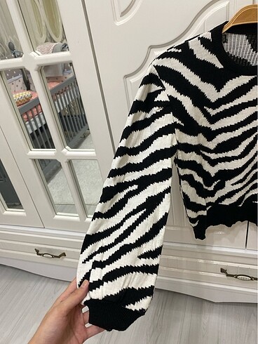 s Beden Zebra desen kazak