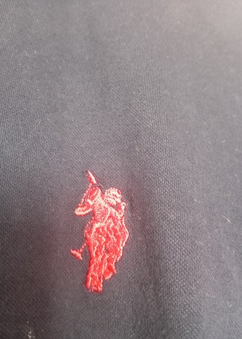 Us polo yaka tişört - Görsel 2