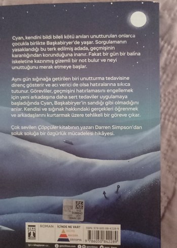 Ani Hırsızları - Darren Simpson - Görsel 2