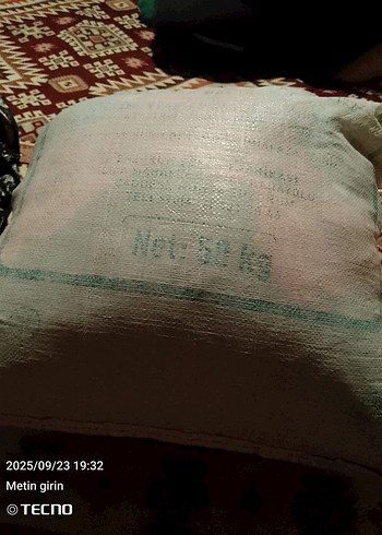 bebek arabası
