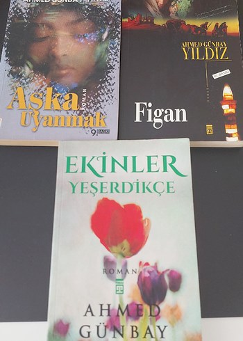 Ahmed Günbay Roman Figan,Aşka Uyanmak, Ekinler Yeşerdikçe