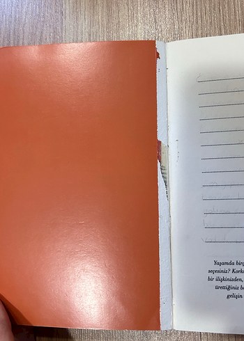 Esra Ezmeci'den 2 Kişisel Gelişim Kitabı - Görsel 2