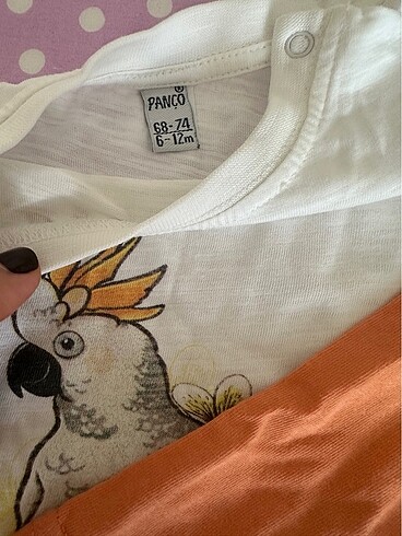 12-18 Ay Beden çeşitli Renk 7 adet tshirt