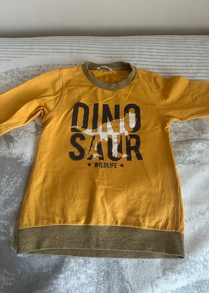 Alt üst takım 7 yaş dinazor temalı - Görsel 2