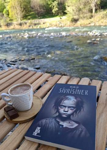 Sivrisinek Romanı