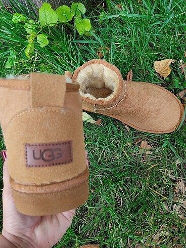 37 Beden Ugg bot