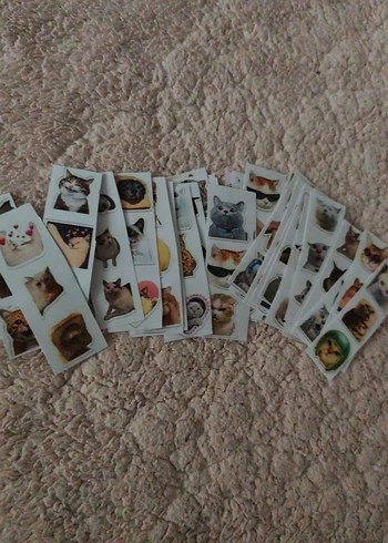 Kedi çıkartma 100 adetten fazla var - Görsel 3