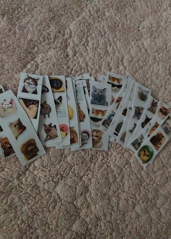 Kedi çıkartma 100 adetten fazla var - Görsel 4