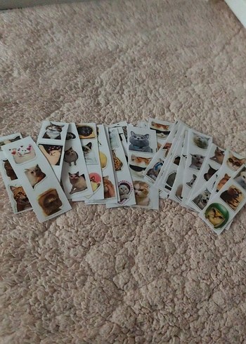 Kedi çıkartma 100 adetten fazla var - Görsel 2