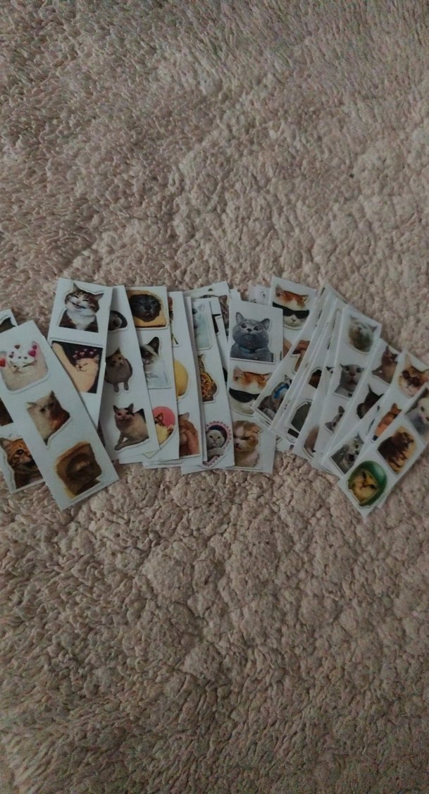 Kedi çıkartma 100 adetten fazla var - Görsel 3