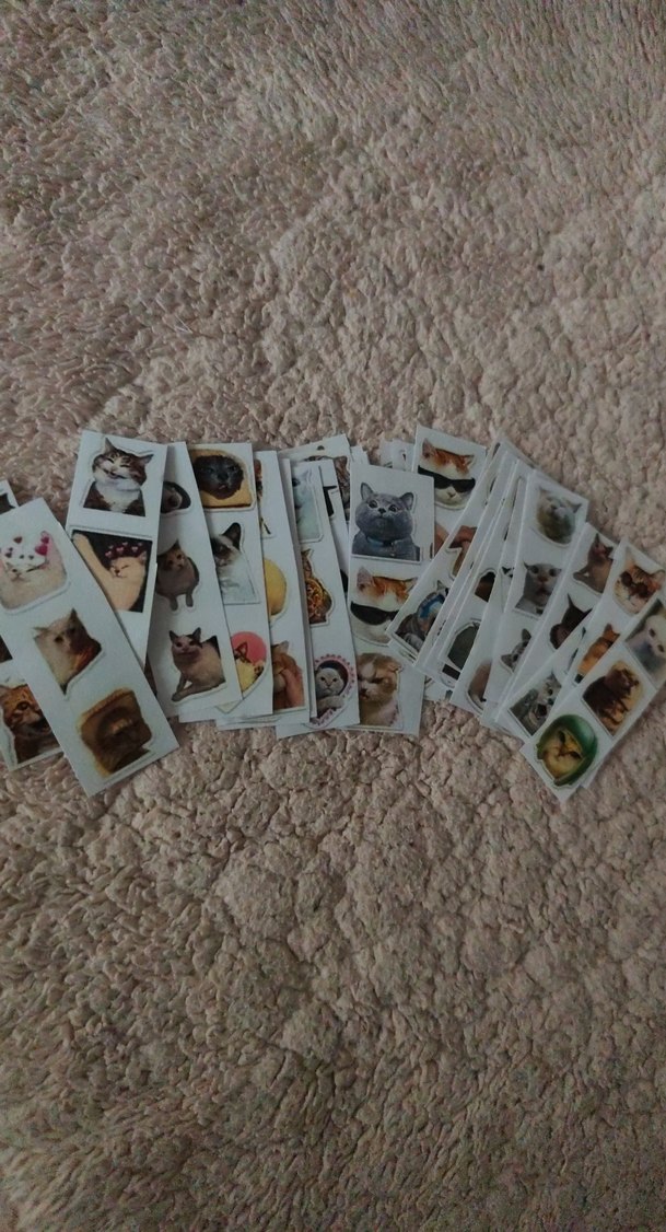 Kedi çıkartma 100 adetten fazla var - Görsel 4