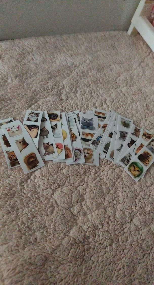 Kedi çıkartma 100 adetten fazla var - Görsel 2