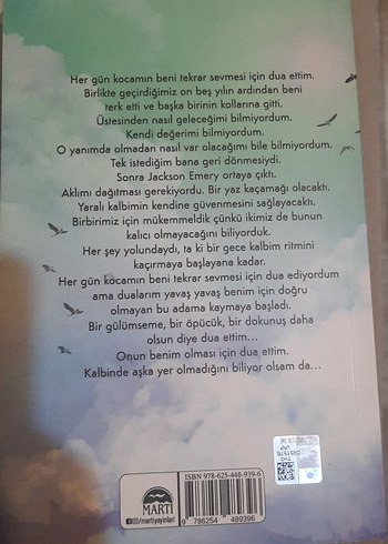 Yüz Karası - Brittainy C. Cherry