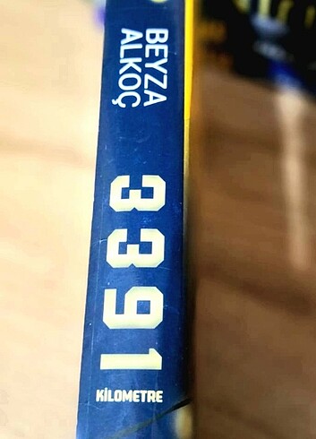 3391 km- Beyza Alkoç