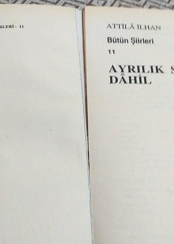 Attila İlhan - Ayrılık Sevdaya Dahil - Görsel 9