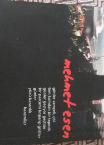 Karıncanın Gözyaşı - Mehmet Esen - Görsel 2