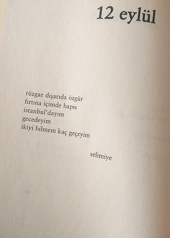 Karıncanın Gözyaşı - Mehmet Esen - Görsel 10