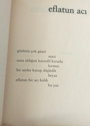 Karıncanın Gözyaşı - Mehmet Esen - Görsel 9