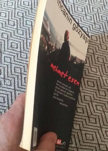 Karıncanın Gözyaşı - Mehmet Esen - Görsel 4