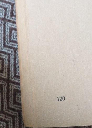 Karıncanın Gözyaşı - Mehmet Esen - Görsel 11