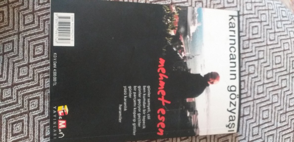 Karıncanın Gözyaşı - Mehmet Esen - Görsel 2