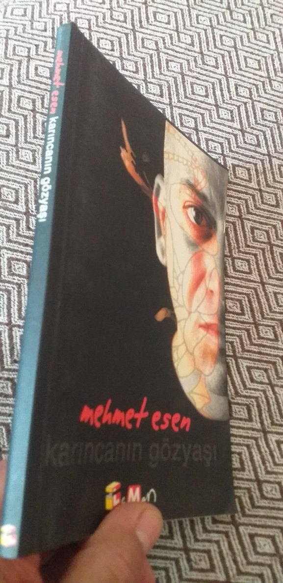 Karıncanın Gözyaşı - Mehmet Esen - Görsel 3