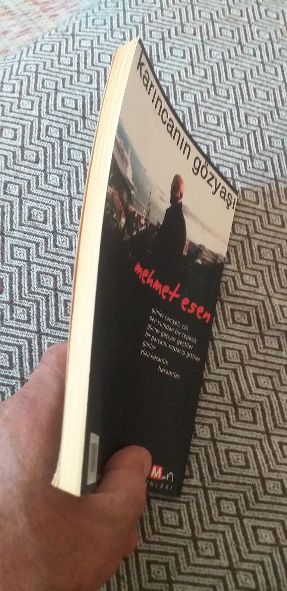 Karıncanın Gözyaşı - Mehmet Esen - Görsel 4