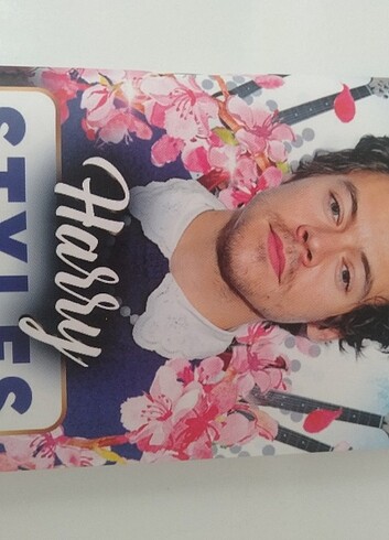 Harry styles defteri