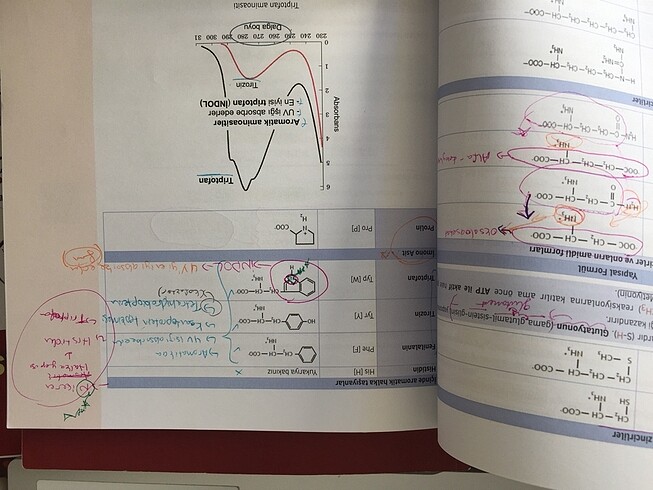 Beden Renk Tustime biyokimya konu kitabı tus tıp