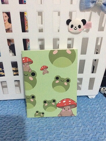 Kurbağalı defter