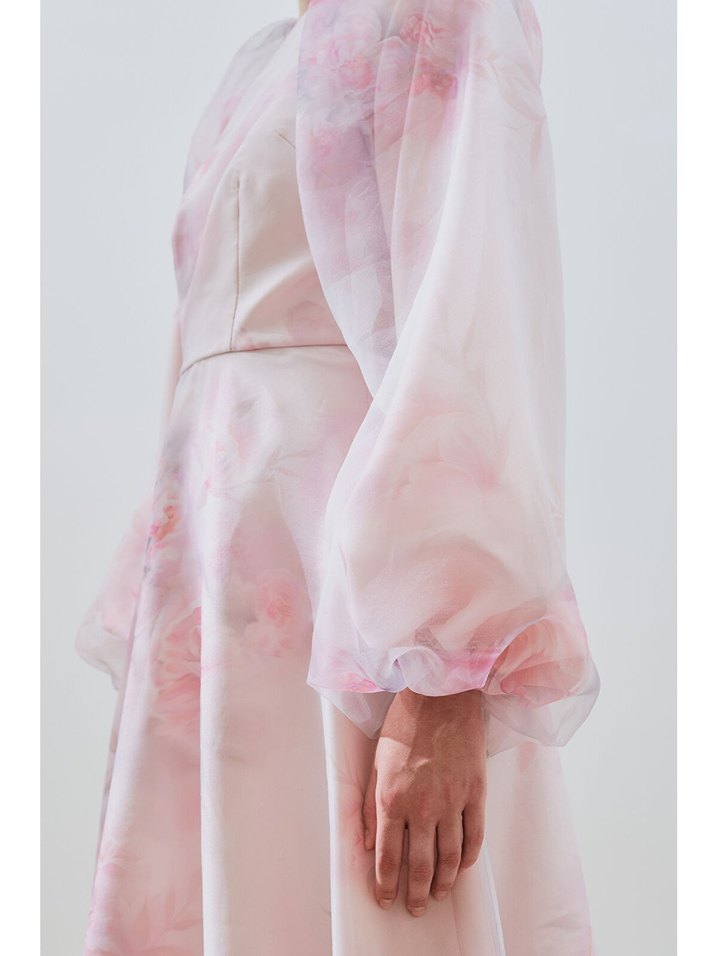 Pudra Uzun Organze Abiye Elbise manuka - Görsel 3