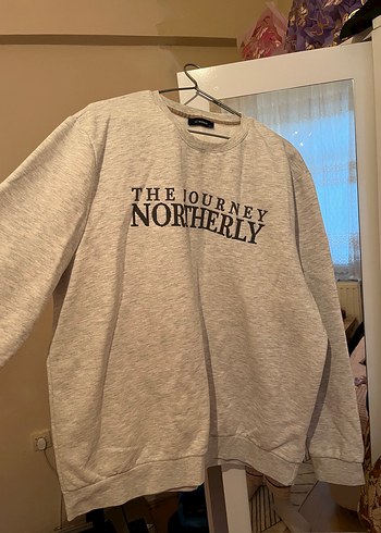 Gri Baskılı Kadın Sweatshirt 3xl - Görsel 3