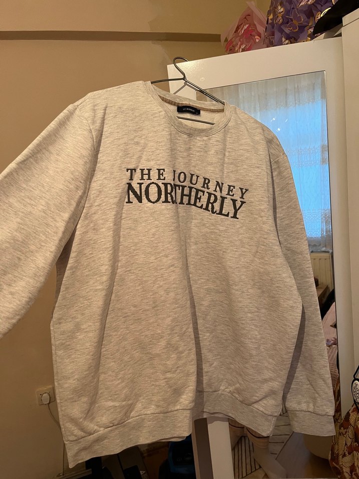 Gri Baskılı Kadın Sweatshirt 3xl - Görsel 3