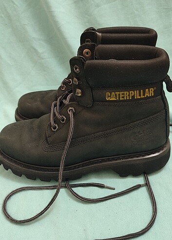 Cat Caterpiller kadın bot