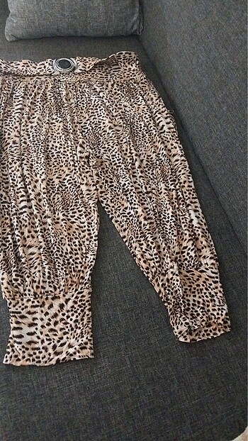 Leopar kapri