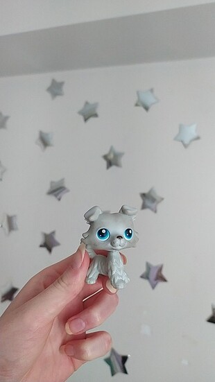 Gri miniş
