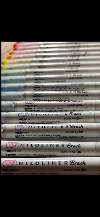 Beden Orijinal Zebra Mildliner Brush Pen