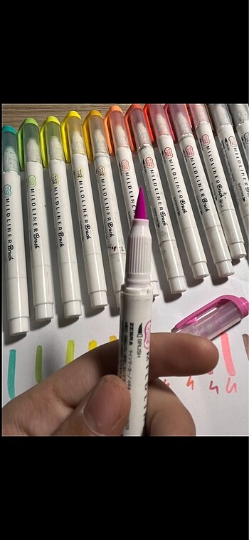 Beden Renk Orijinal Zebra Mildliner Brush Pen