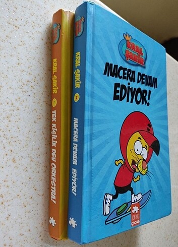  Beden Kral şakir 