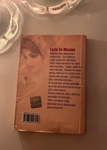 Leyla ile Mecnun - Şeref Yılmaz - Görsel 2