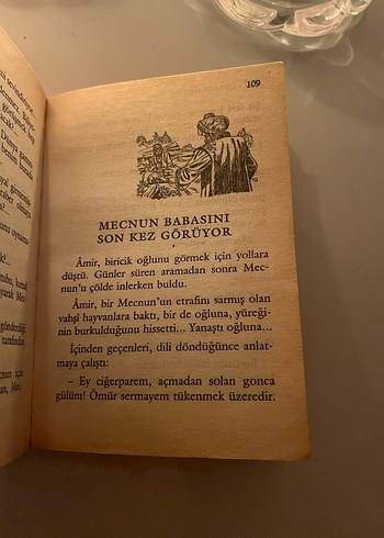 Leyla ile Mecnun - Şeref Yılmaz - Görsel 7