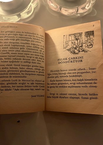 Leyla ile Mecnun - Şeref Yılmaz - Görsel 3